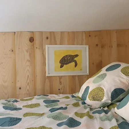 Pura Vida Apartment